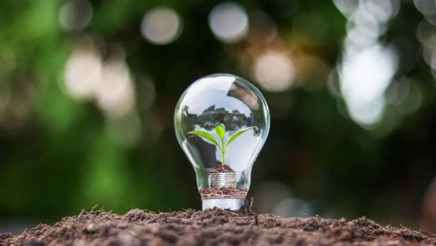 Китай | Льготная налоговая политика, поддерживающая зелёное развитие